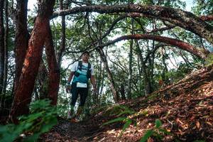 BIB: 
                            <button type="button" onclick="openModal(26345780)" class="btn btn-primary btn-sm float-right btn-popup" data-toggle="modal" data-target=".modal-high-quality">
                        <i class="fas fa-shopping-cart"></i> Add to Cart
                    </button>
                                            <button type="button" onclick="isThisMe(26345780, true)" class="btn btn-success btn-sm float-right btn-popup btn-isme hidden" data-toggle="tooltip" data-placement="bottom" title="นี่คือรูปของคุณใช่ไหม คลิกที่นี่เพื่อเอาเข้าอัลบั้ม">
                        <i class="fas fa-plus"></i> Add to album
                    </button>
                    <button type="button" onclick="isThisMe(26345780, false)" class="btn btn-warning btn-sm float-right btn-popup btn-isnotme hidden">
                        <i class="fas fa-ban"></i> Remove from album
                    </button>